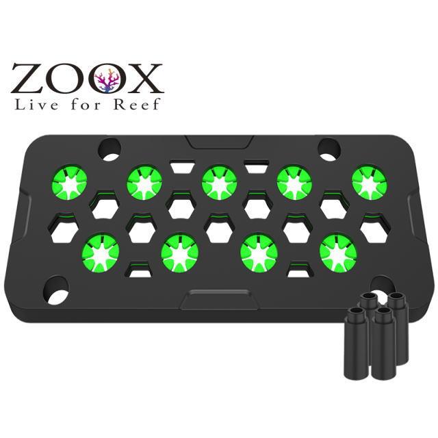 【新品・タグ付き】 Amuseables Coral LSS研究所 zoox コーラルフラグベース サークルタイプ 小 マグネット式