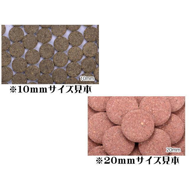 爬虫類・両生類のエサ PL10 F10 H20 S10 SM10 Zoo Med ReptiSoil - 10