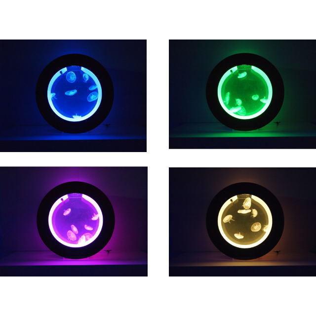 にこちゃんさんさ専用キュービック　クラゲ水槽　オービット20 ジェネレーション３ にこちゃんさんさ専用キュービック クラゲ水槽 オービット20