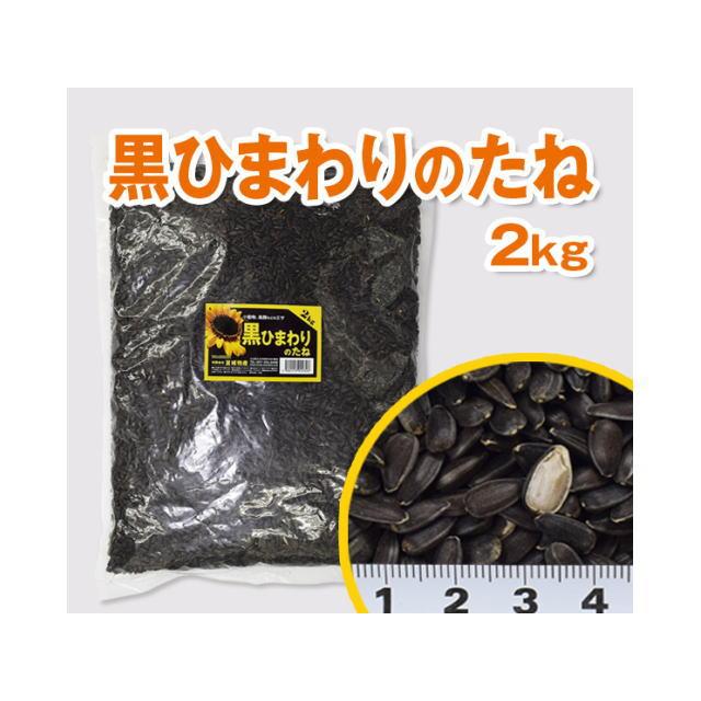 黒ひまわりのたね 2kg 富城物産 小動物エサ 鳥餌 ハムスター リス