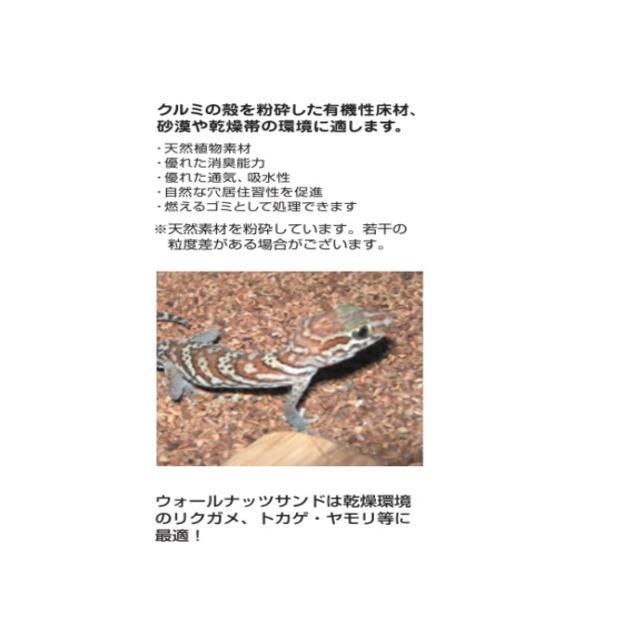 ビバリア　ウォールナッツサンドＰ　３．０ｋｇ　ＲＰ−７５２Ｐ　爬虫類　両生類　トカゲ　リクガメ　床材　マット