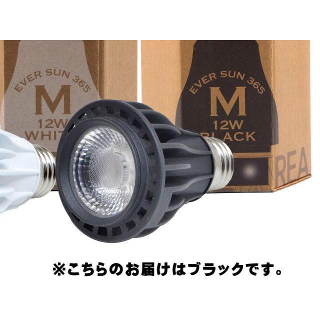 室内で植物が育つLED Ever Sun 365 mini 白黒２個セット ゼンスイ Ever Sun365 MB 昼白色 12W エバーサンサンロクゴー プラリア
