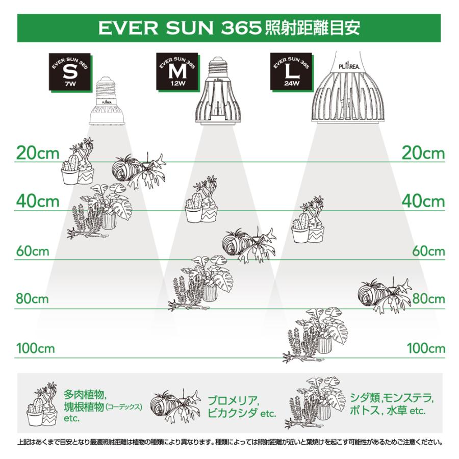 ゼンスイ セット Ever Sun365 MB 昼白色 12W + プラエリアソケット LED