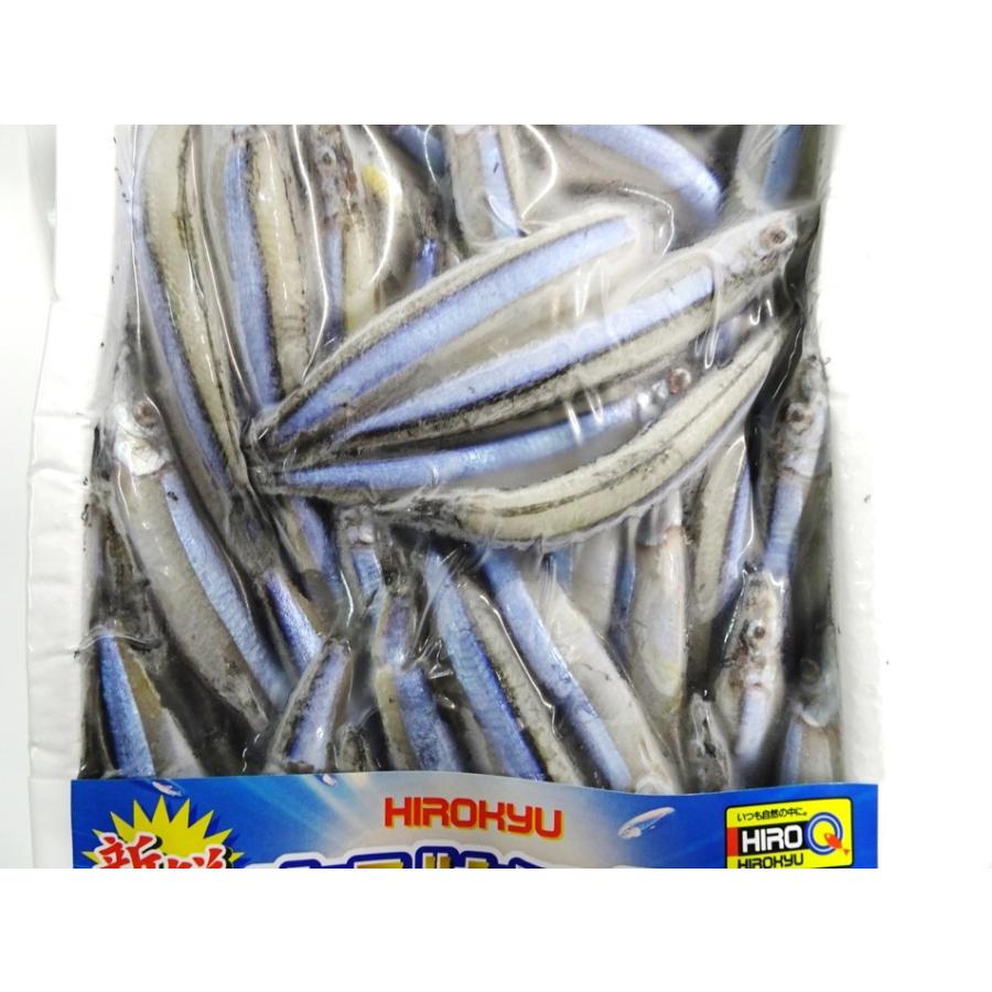 釣りえさ ヒロキュー 新鮮きびなご 徳用 真空パック [徳用500g 釣りえさ ヒロキュー 新鮮きびなご 徳用 真空パック [徳用500g