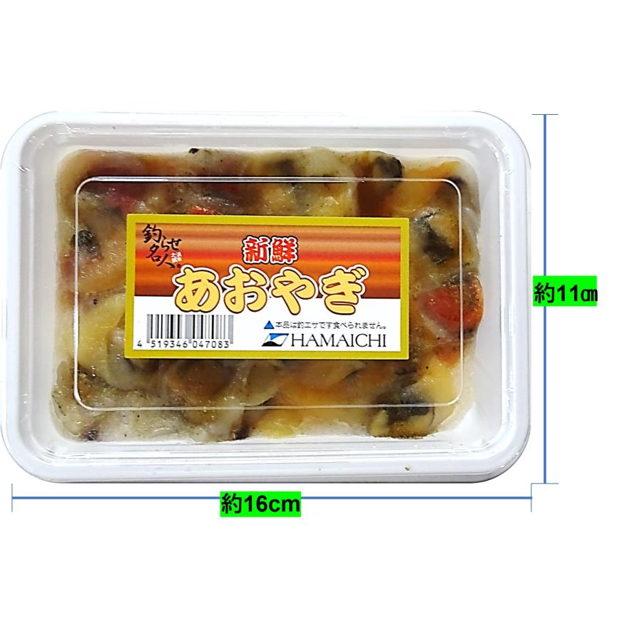 味の風 青柳 HAMAICHI 冷凍あおやぎ(青柳) 約160g前後入り 釣りえさ用あおやぎ 再