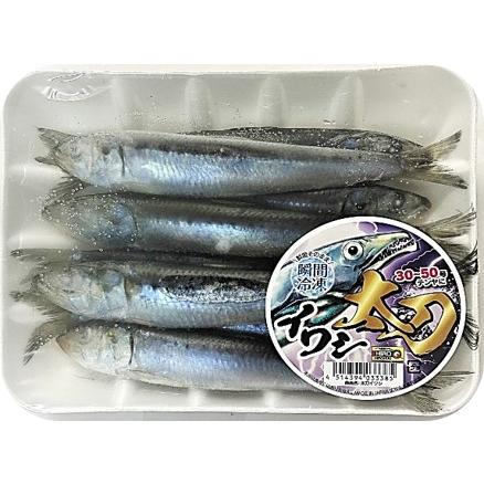 シビヤマ180-65g イナダ、イワシセット ソウルズ シビヤマ180-65G SOULS イワシ イナダ セット ラスト1