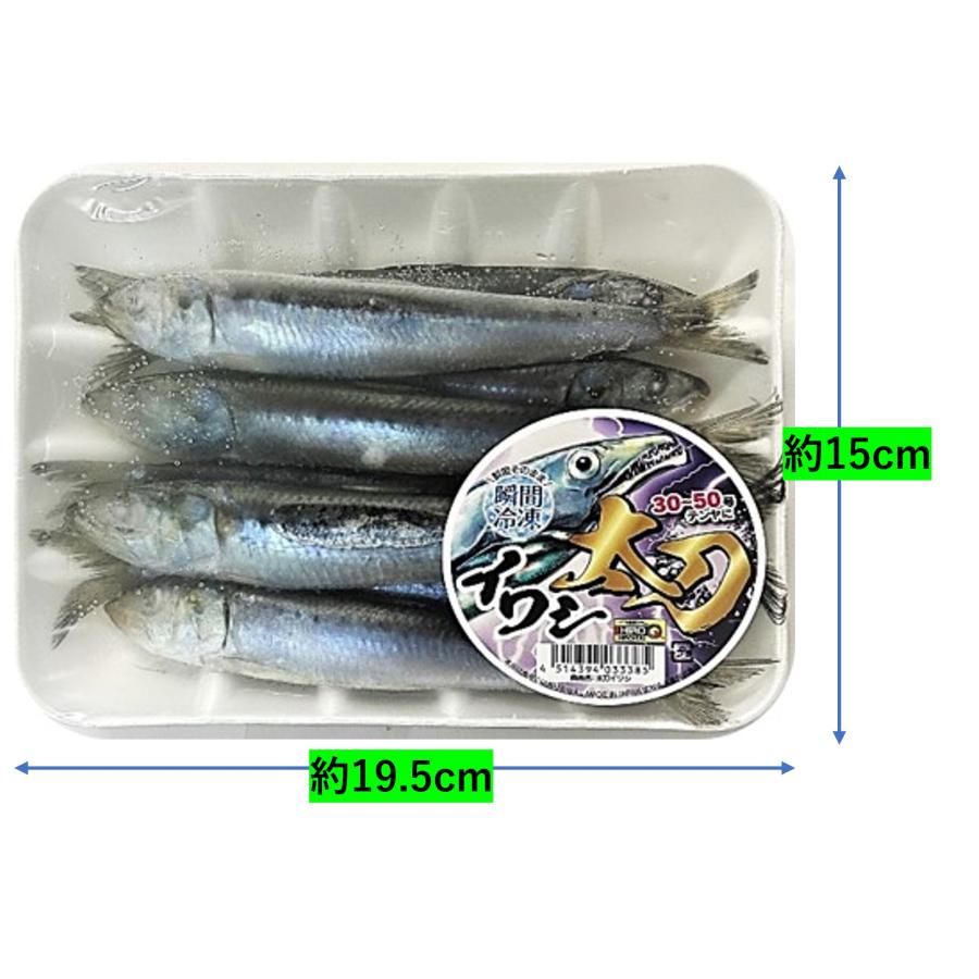 ヒロキュー 太刀イワシ 8尾入り 約320g 太刀魚テンヤ向け大きめイワシ