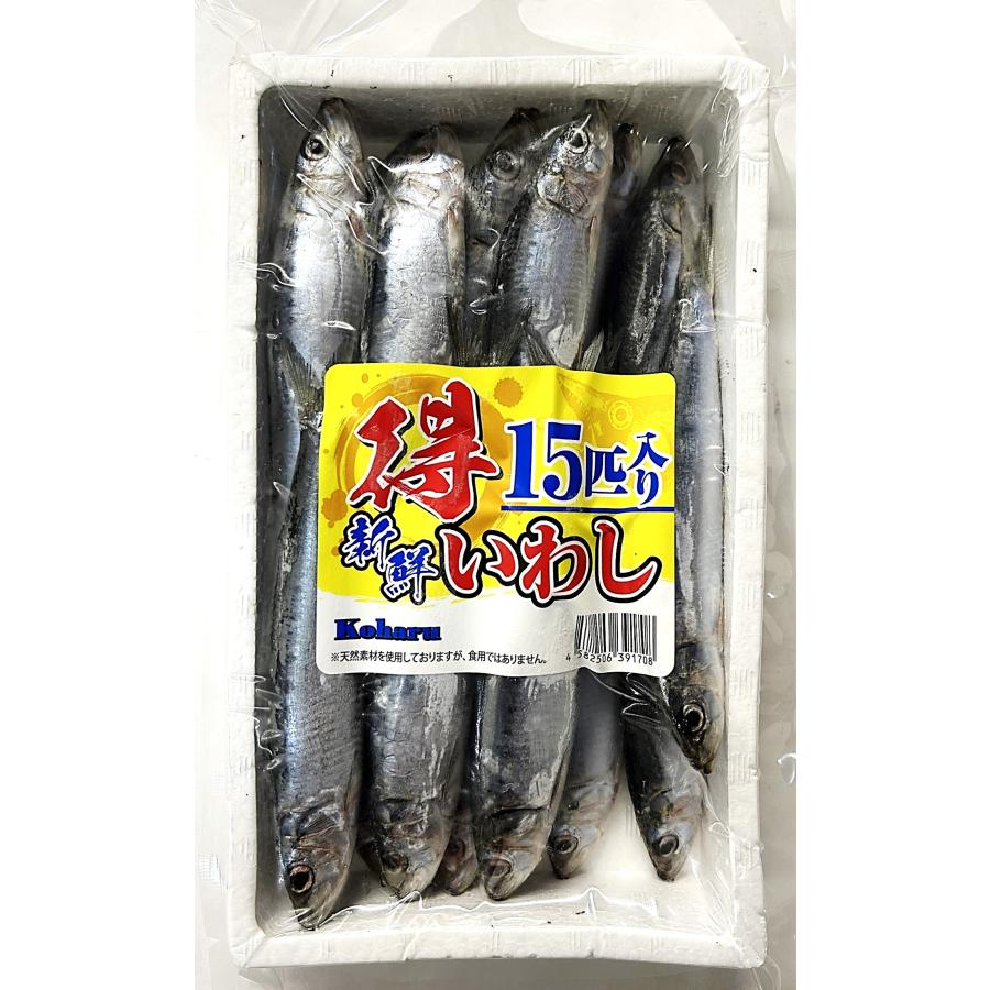 釣りえさ Koharu つり物語 得用新鮮いわしパック 15匹入り 釣りえさ用