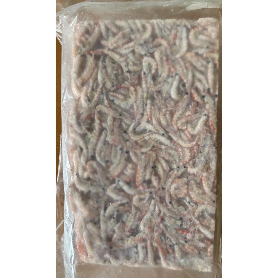 4枚セット】特価 生オキアミ3kg 4枚セット フカセ用オキアミM〜L