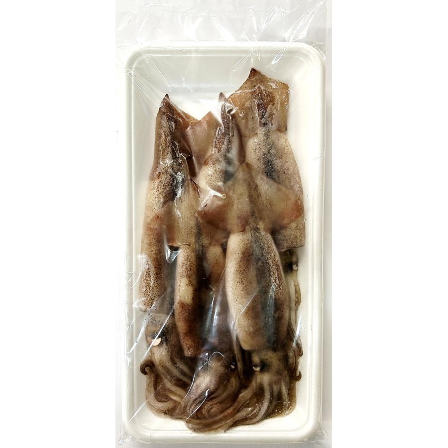 釣りえさ 冷凍スルメイカ 5匹入り 釣りエサ用スルメイカ (大きめ