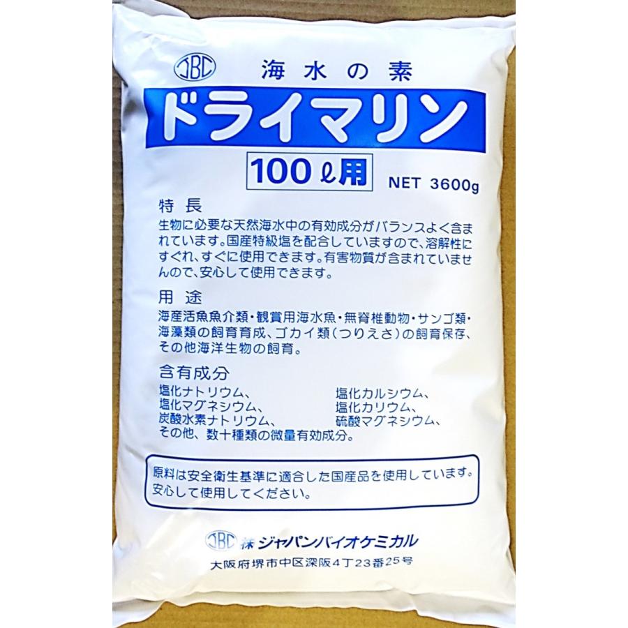 海人さん専用 IMAGE ゲーム・おもちゃ・グッズ Travis Japan 中村海人 公式写真 賛成コン