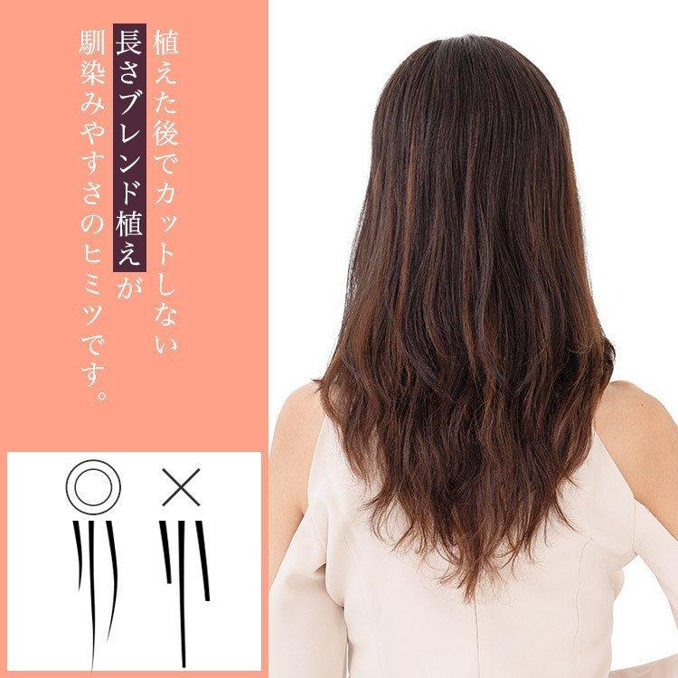 AQUADOLL 部分ウィッグ 頭頂部 人毛 分け目 ヘアピース 自然 AQUADOLL 部分ウィッグ 頭頂部 人毛 分け目 ヘアピース 自然