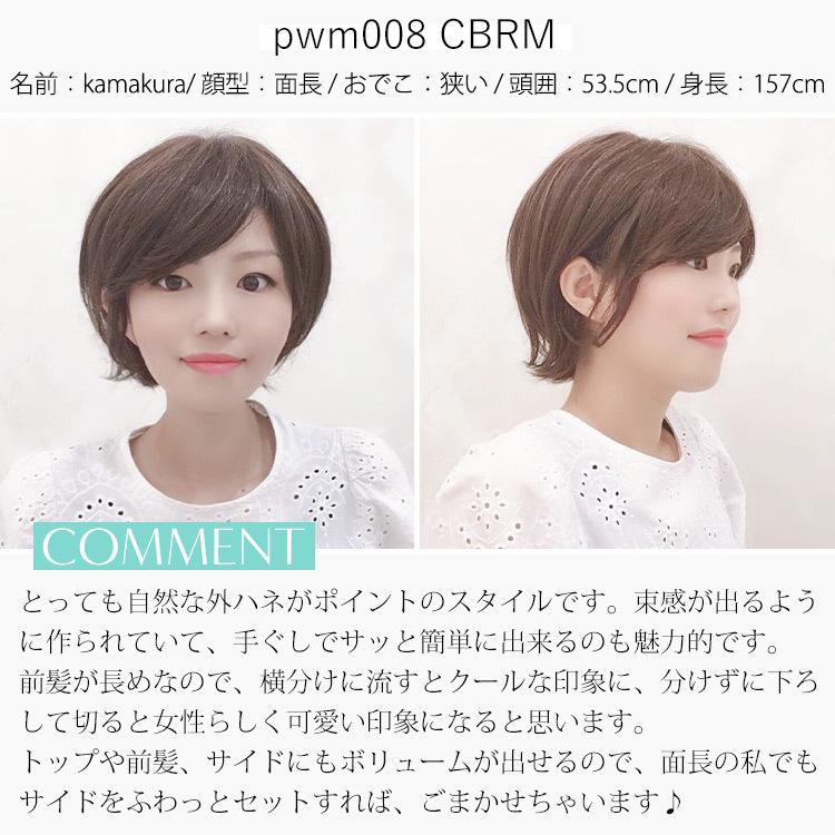 医療用ウィッグ 人毛 mix ショート ウィッグ 医療 フルウィッグ ウイッグ ウイック Sサイズ 自然 黒 ブラウン かつら 女性 レディースの画像