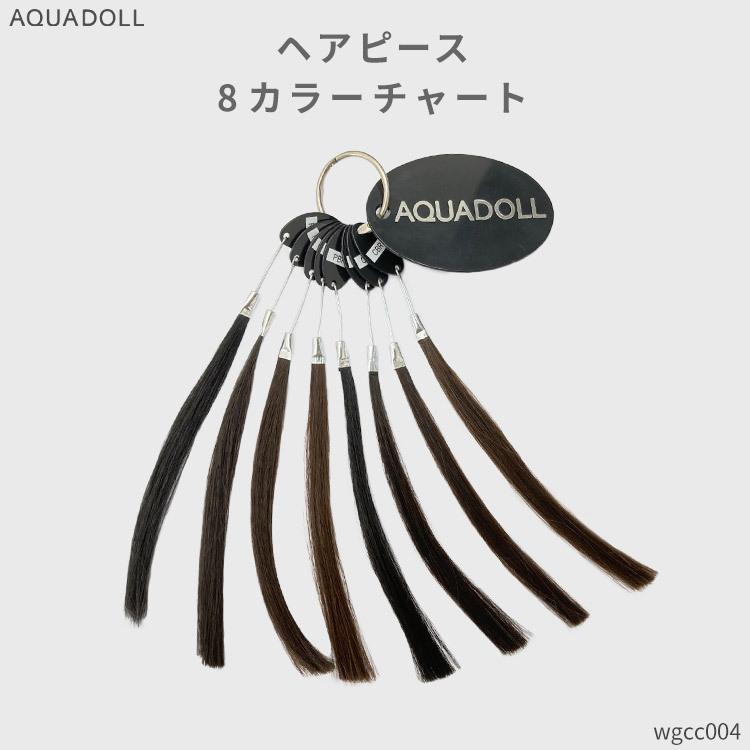 AQUADOLL VENUS ヘアピースカラーチャート 白髪かくしウィッグ トップ