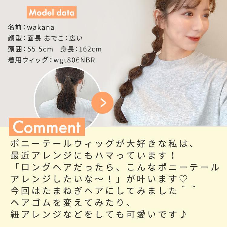 AQUADOLL（アクアドール） ポニーテール ウィッグ エクステ ロング