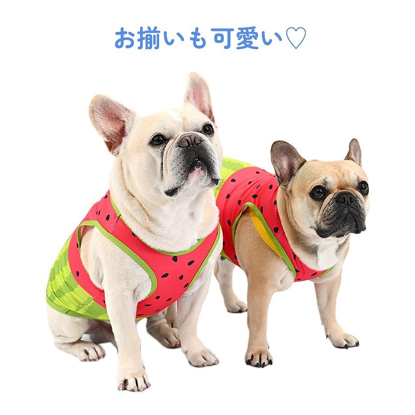 犬 服 接触冷感 タンクトップ ひんやり 濡らして冷却 スイカ柄 夏用