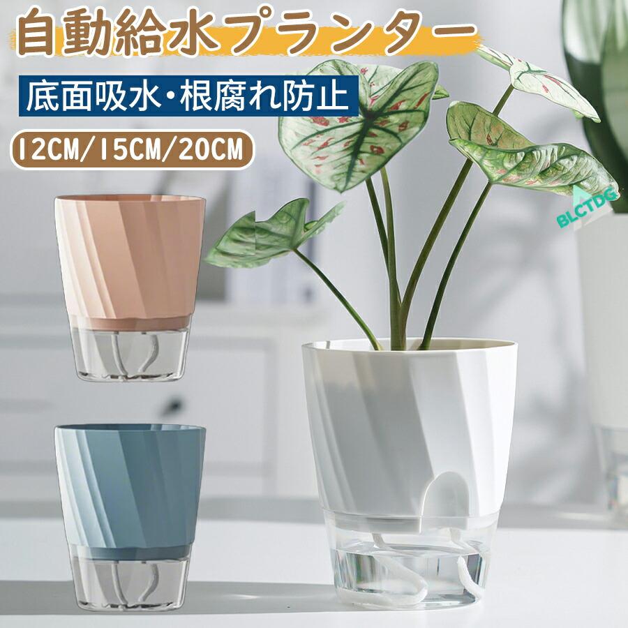 自動給水 植木鉢 底面吸水 プランター 水耕栽培 観葉植物 多肉植物