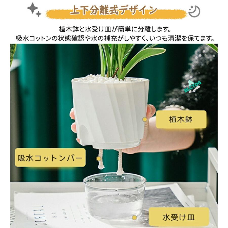 自動給水 植木鉢 底面吸水 プランター 水耕栽培 観葉植物 多肉植物