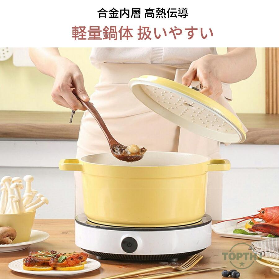 ホーロー鍋 両手 22cm 無水調理 カレー鍋 IH ガス オーブン対応 保温