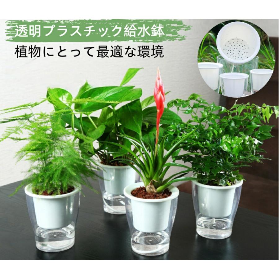 給水プランター 植木鉢 自動給水 自己給水 水耕栽培 観葉植物 底面給水