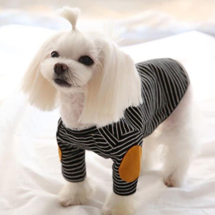 秋服 犬服 小型犬服 カットソー ユニセックス お出かけ 男の子 女の子