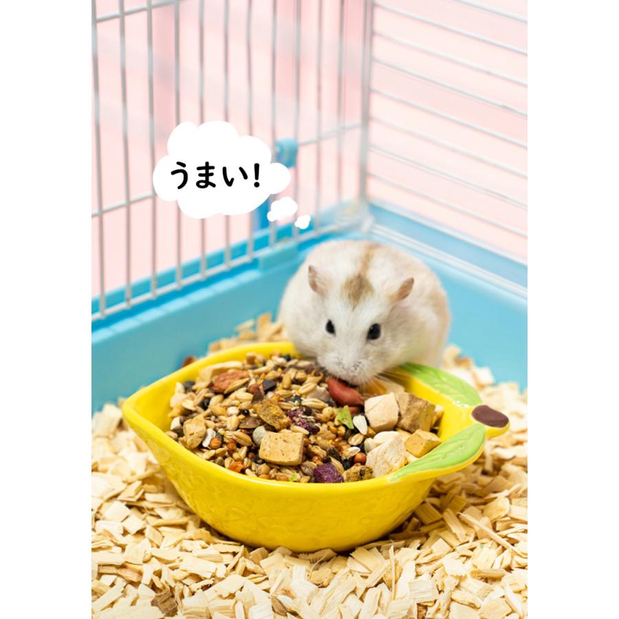 ハムスター 小動物用 水飲み 餌入れ 陶器 ハリネズミ えさいれ ケージ