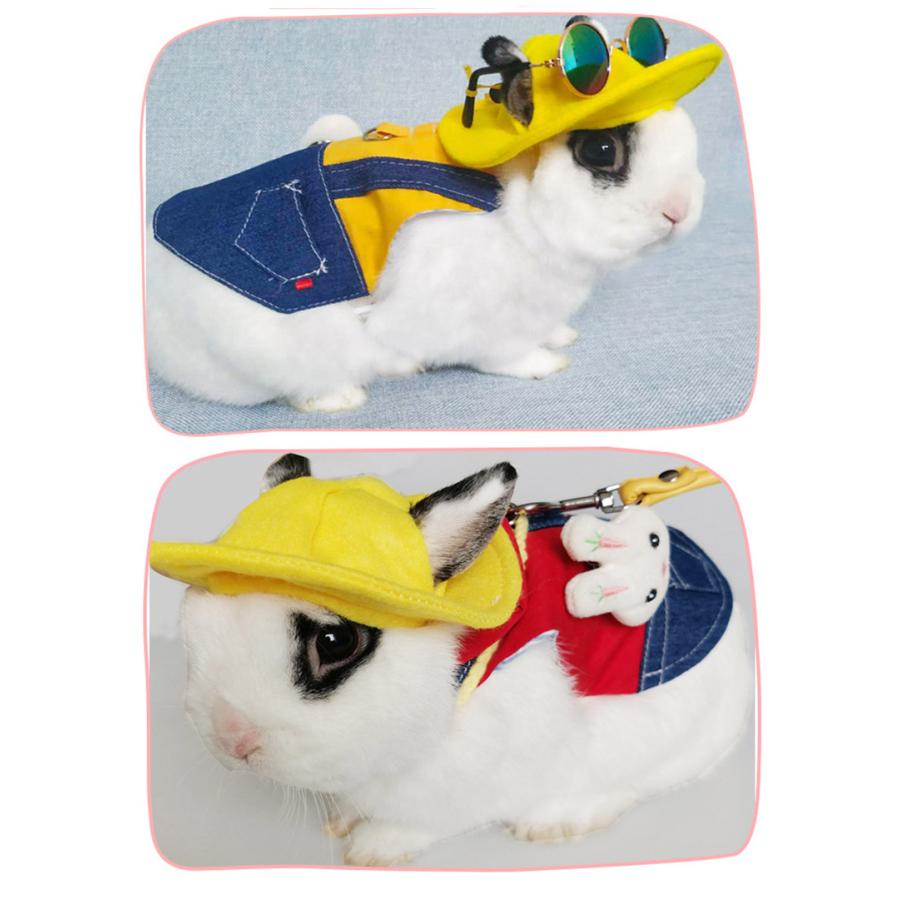 うさぎ用 ペット服 リードセット 可愛い 小動物 ウサギ お散歩
