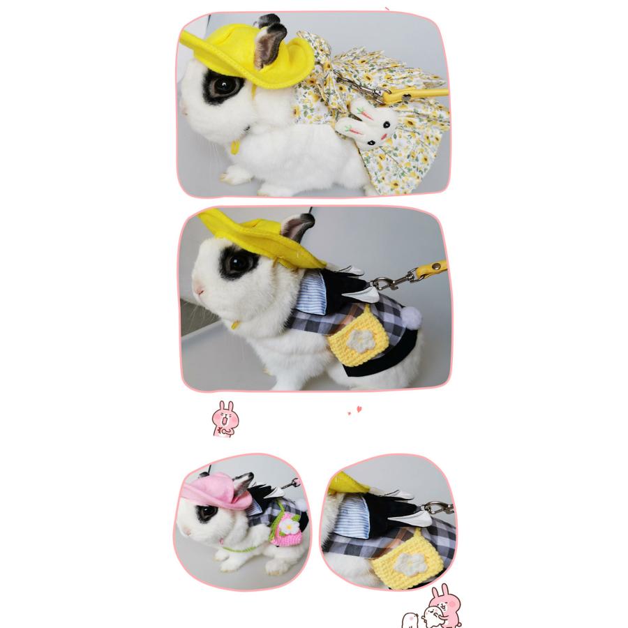 うさぎ用 ペット服 リードセット 可愛い 小動物 ウサギ お散歩