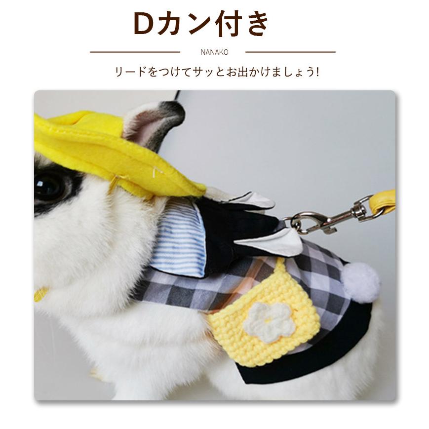うさぎ用 ペット服 リードセット 可愛い 小動物 ウサギ お散歩