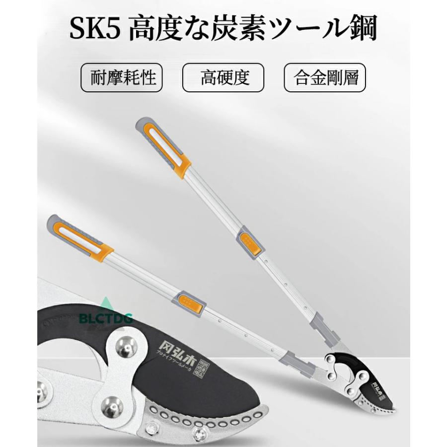 剪定はさみ 爆買い 剪定バサミ 園芸ばさみ 太枝切り鋏 切断径60mm 強力型 剪定ばさ