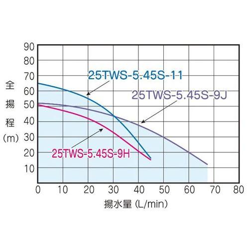 特価】テラル 25TWS-5.45S-9H 深井戸用水中ポンプ (450W/単相100V/50Hz