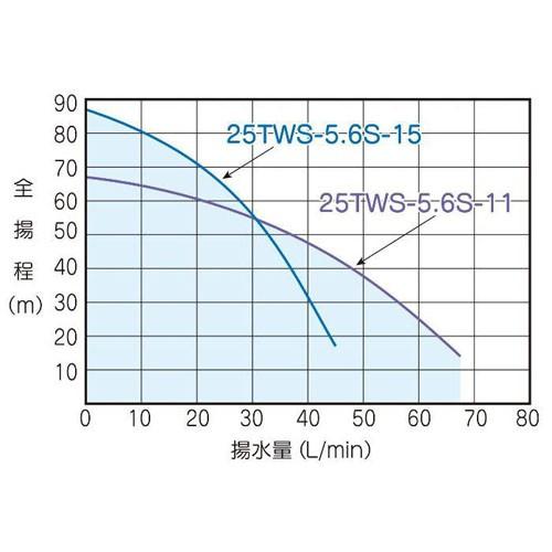 特価】テラル 25TWS-5.6S-11 深井戸用水中ポンプ (600W/単相100V/50Hz