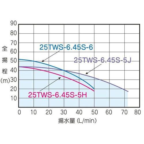 テラル 25TWS-6.45S-5H 深井戸用水中ポンプ (450W/単相100V/60Hz