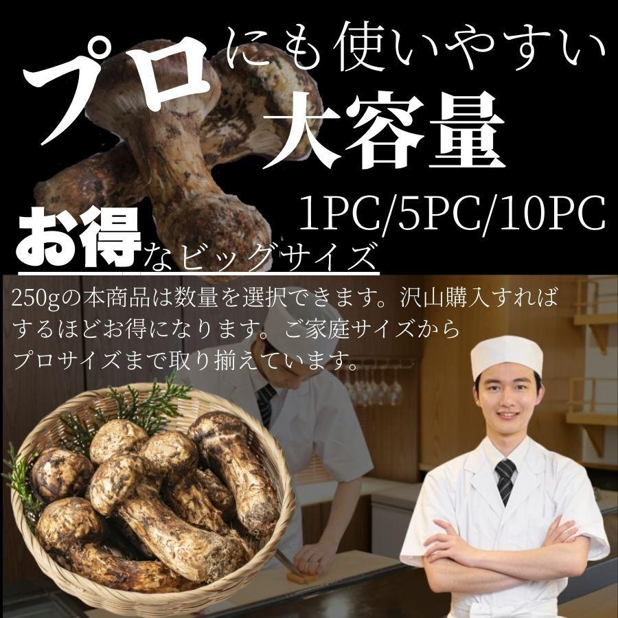 刻みまつたけ 250g 5PC 松茸 松茸ご飯 土瓶蒸し 秋の味覚 スライス 切り落とし 送料無料 ギフト 贈答 御祝_4
