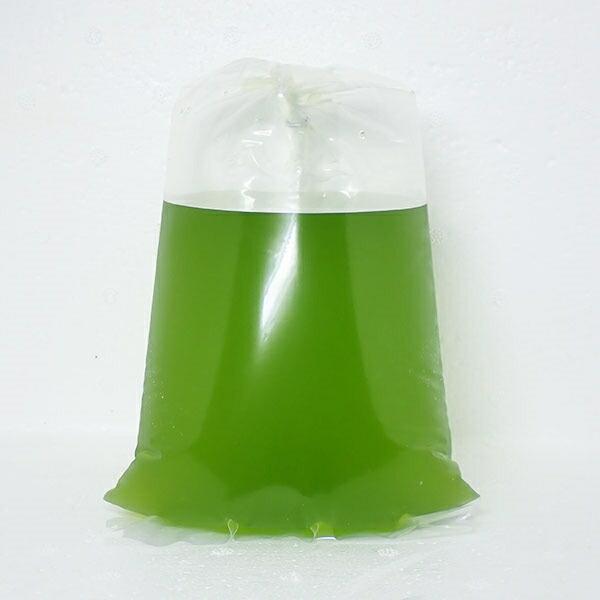 海産生クロレラ(ナンノクロロプシス)1000ml!【微生物/餌/水槽/添加剤】(t151 |  | 01