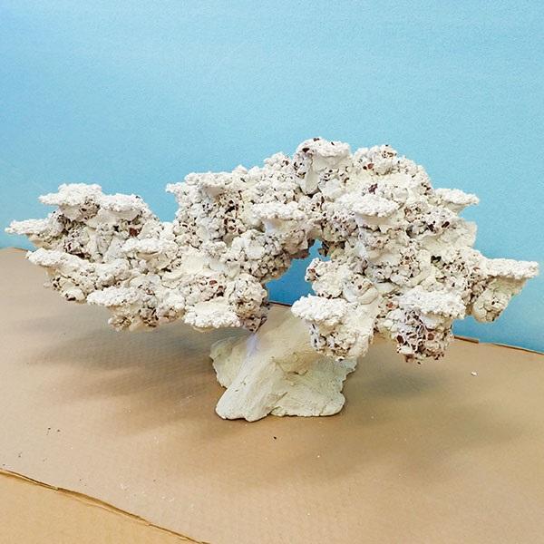 5】発送要相談 人工ライブロック 擬岩 1ピース 90cm水槽用 !【ライブ