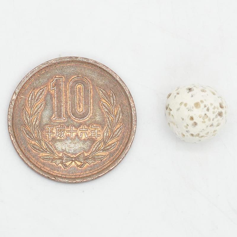 アクアギフト推奨濾過材 バイオボールプロ 1L(C-1004) 海水魚 サンゴ 生体 |  | 01