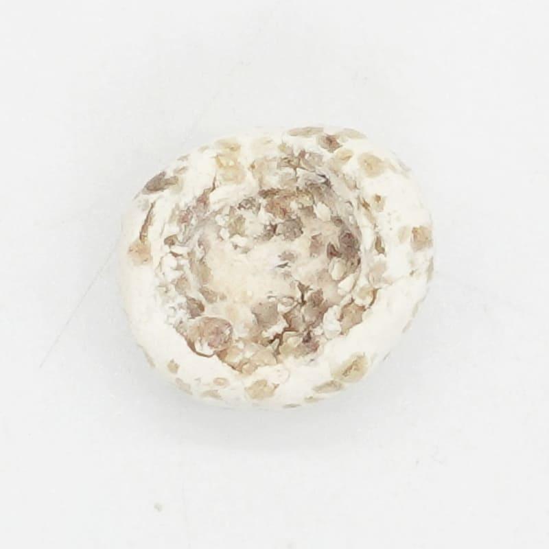 アクアギフト推奨濾過材 バイオボールプロ 1L(C-1004) 海水魚 サンゴ 生体 |  | 03