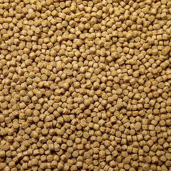 スーパーボイル Mサイズ（1.5〜1.7mm) 50g !【エサ】海水魚飼料 (t154 |  | 01