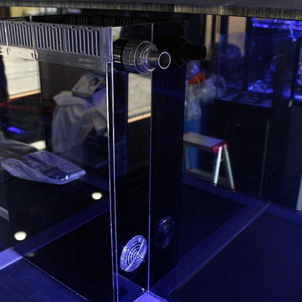 オーバーフロー水槽 サンゴと熱帯魚付き 全国配送対応】オーバーフロー水槽 120(横）×55（奥）×55（高）cm(C