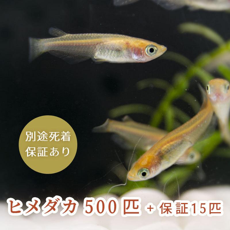 新B2 高級 豪華な雪洞のみ 高さ90㎝位 雛人形雪洞 雛人形灯り