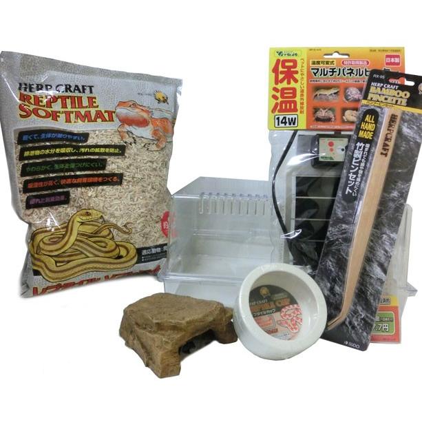 コーンスネーク 快適飼育セット（パネルヒーター付） : アクアペット