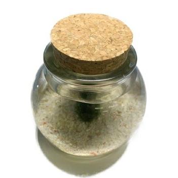 まりも 国産マリモの小瓶入り : アクアペットサービス ヤフー店 - 通販