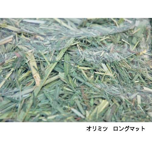 オリミツ（ORIMITSU） 牧草 チモシー ロングマット1kg×1個 : アクア