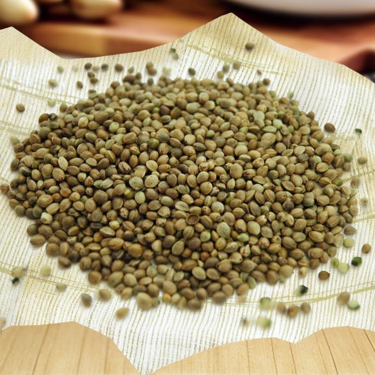 小鳥の餌 麻の実 100g インコ餌 ハムスター餌 : アクアペットサービス