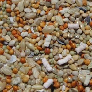 黒瀬ペットフード 小鳥の餌 黒瀬ペット マニアシリーズ 文鳥 1L 鳥 餌