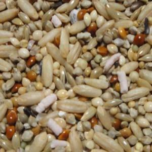 黒瀬ペットフード 小鳥の餌 黒瀬ペット マニアシリーズ セキセイインコ