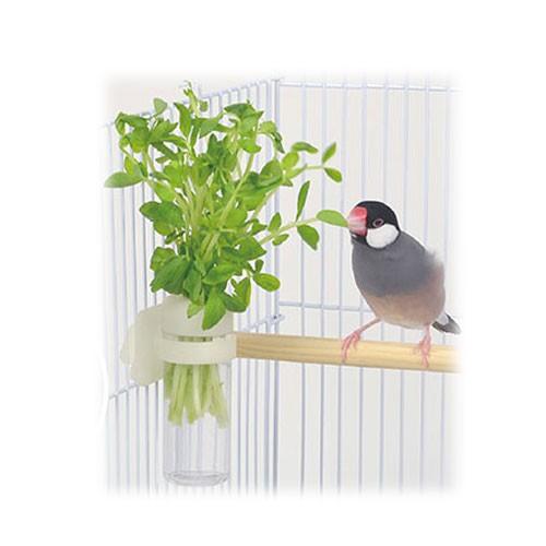 三晃商会 小鳥用菜差しナサシ サンコー 小鳥のベジタブルポット