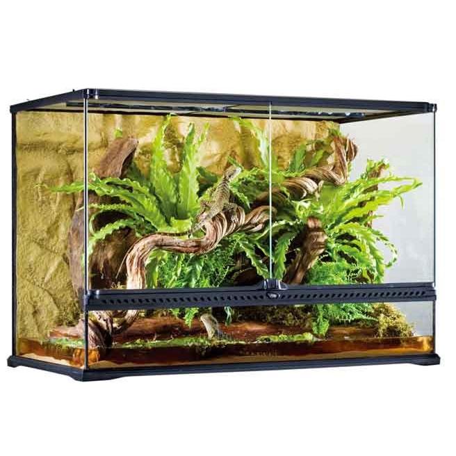 GEX エキゾテラ グラステラリウム9060 PT2614 ※大型商品の為 GEX エキゾテラ グラステラリウム9060 PT2614 ※大型商品の為