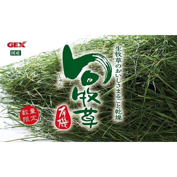 GEX 旬牧草 イタリアンライグラス300g｜aquapet｜03